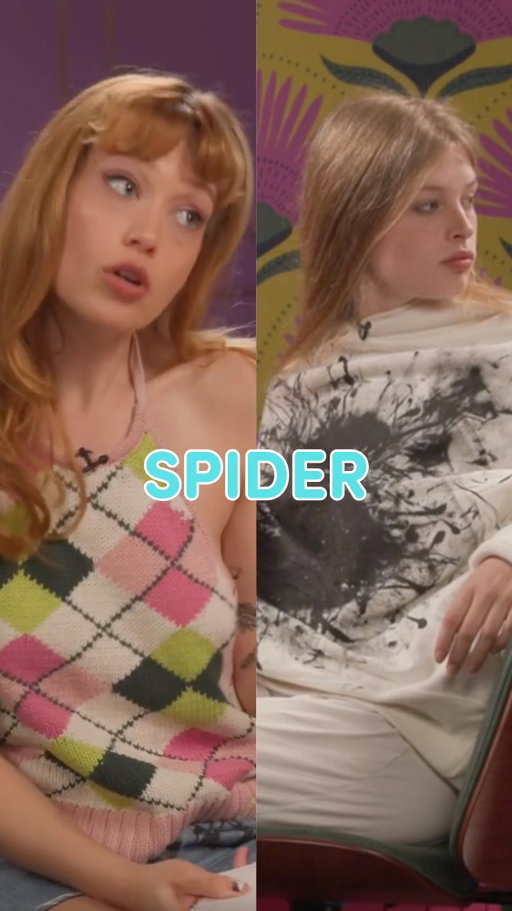 Is anybody seeing that huge bug???
 #spider #comedy