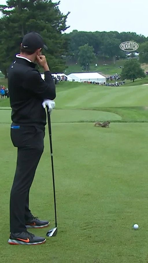 3 straight birdies and leads by 3… This squirrel might be the only thing that can stop Rory now. 😭