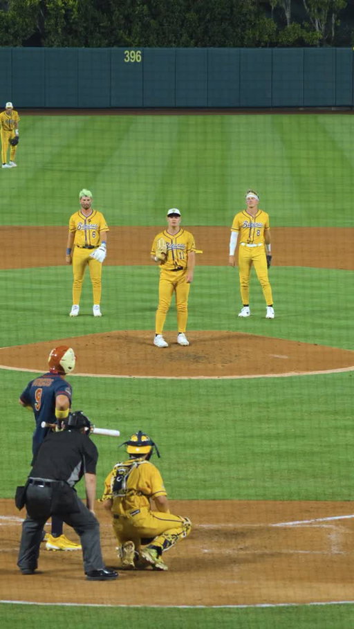 Sometimes you have to give the performance of a lifetime in the middle of your outing🤷‍♂️

#savannahbananas #bananaball #totaleclipseoftheheart #bonnietyler #dance