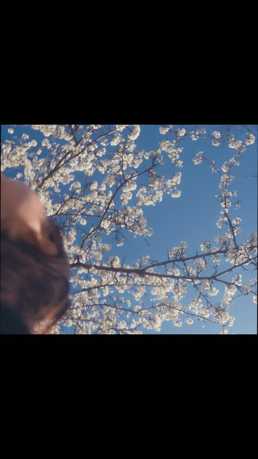 Reminder that NYC is at full bloom rn:)

Follow @filmwcolleen for more!

I’m guilty of often looking down everywhere I go. It takes conscious effort to practice looking up - taught by the best teacher: 🌸 cheery blossoms
