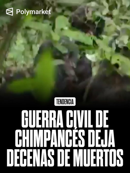 Una comunidad de chimpancés en Parque Nacional Kibale se dividió en dos facciones rivales, desatando un conflicto interno inusual entre individuos que antes convivían en el mismo grupo.

Científicos han registrado ataques coordinados, emboscadas y asesinatos selectivos, con patrullas organizadas que buscan debilitar al bando rival y controlar el territorio.

El conflicto deja decenas de muertos, incluidas crías, en una escalada de violencia extrema que reabre el debate sobre el origen de la guerra y la agresión colectiva.

#Kibale #Polymarket