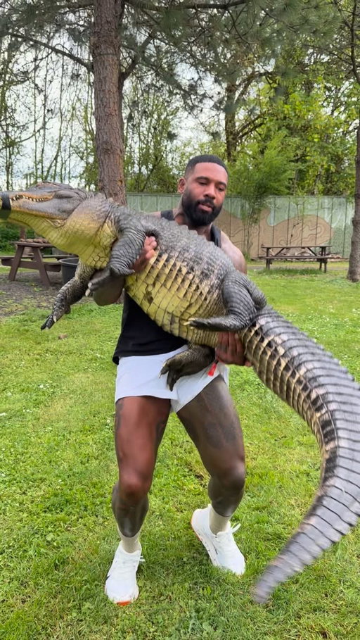 Best GIF wins 🐊