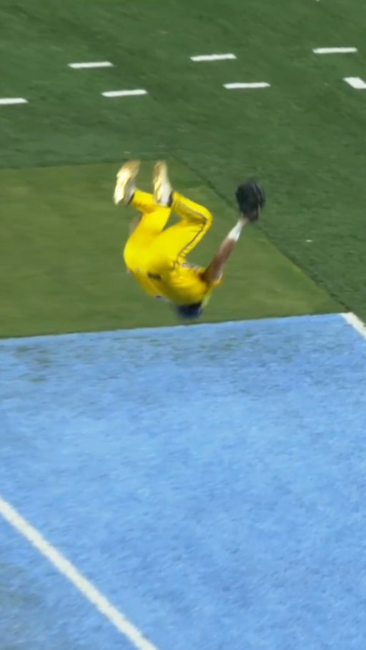 DR Meadows landed a backflip catch to become the FIRST outfielder to 300 career trick plays 💪

#bananaball #savannahbananas #baseballplayer #mlbnews