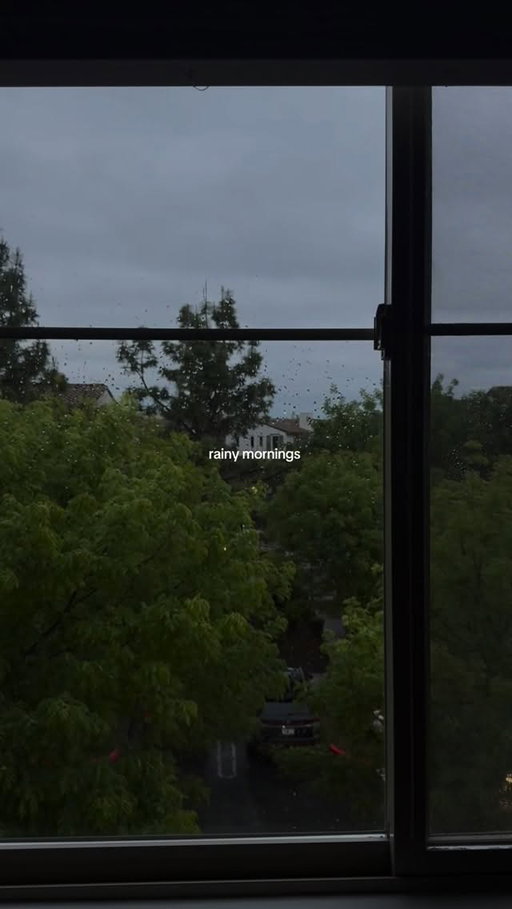 twilight & rain 🌧️

#twilight#nostalgia#cozymorning#rainday#videodiary#rainyweather