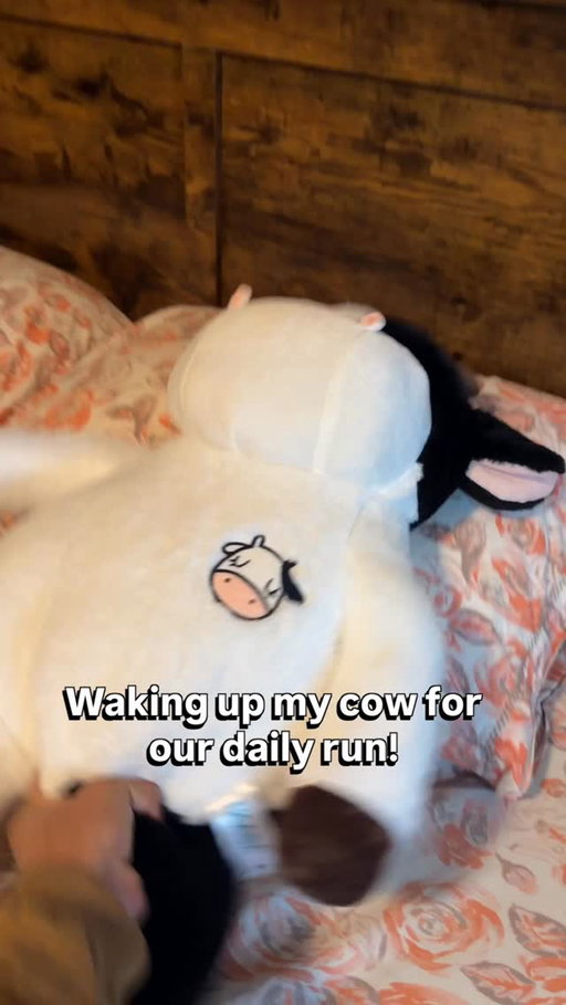 Trying to run with Buttons! #cow #brucethecow #farm #animals