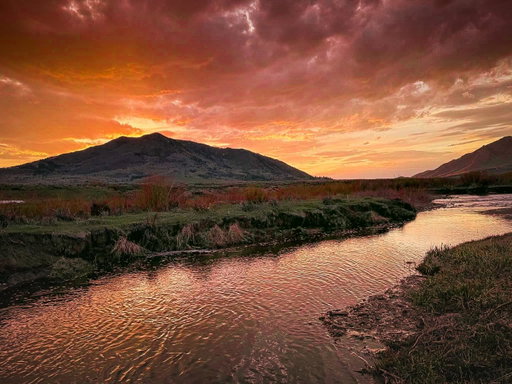 The sunsets have been amazing lately, and if I don’t see it, one of my kids will run to tell me to come to the window and look. ☺️ This particular evening I was running an errand for a neighbor and only had my phone with me. But I took time to park the truck, walk down by the creek and just sit on the bank awhile to soak in the glorious spring evening. 🙌🏼 

This photo + edits was a collaboration between myself and the legendary Gary Brinton. 😁