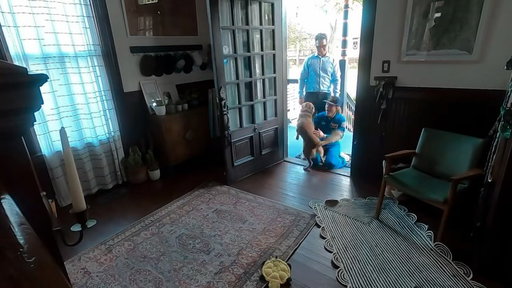 In order: 🌍 🤗 🐕🏖️

I’m still pretty sure I was the happier side of this reunion. Sadie taught me everything I needed to know about being an emotional support animal. Didn’t expect that would come in handy.