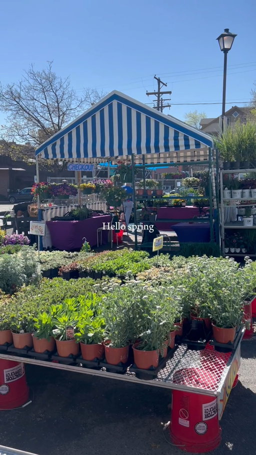 Hello spring, hello markets! 🌷 

Pictured: @plumcreekgardenmarket and @bcfm