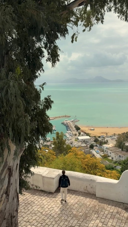 The lies we’ve been told…👇🏼🤯

📌 Make sure you SAVE this and send it to someone who needs to hear this. 

“Tunisia is dangerous and unstable”
“There’s nothing to see beyond the resorts”
“It’s conservative and very restrictive” 

We’ve just spent 2 weeks road tripping around Tunisia from South to North and have found quite the opposite to these statements. 

❌ “Tunisia is dangerous and unstable” - This likely stems from regional tensions and historical t****rist attacks. But Tunisia is actually considered one of the safer North African countries for tourists and we didn’t once feel unsafe or at risk during our time there. 

❌ “There’s nothing to see beyond the resorts” - It feels like a crime to visit Tunisia and only stick to a resort. This country surprised us in so many ways, from the dramatic desert landscapes of the south to the rolling green hills and ancient Roman history of the north. 

❌ “It’s conservative and very restrictive” - We were so pleasantly surprised to learn that Tunisia is actually one of the most progressive countries in the region. With strong legal rights and access to education and work, particularly for women. In cities such as Tunis, it actually feels incredibly liberal.

Tunisia gave us one hell of an adventure and surprised us in so many ways. It was beautiful, challenging and chaotic, but all the best adventures are 👏🏼

Searching for more honest and helpful travel guides? Make sure you are following @thenomadsyouknow for daily travel inspo 🩵
•
•
•
•
#tunisia #travelguide #adventuretravel #bucketlistadventures #offthebeatenpath