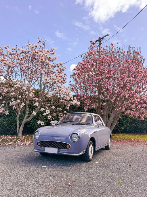 POV: Steering into spring with #NissanFigaro. 🌸

📸: @thefigarofairy 

 #Nissan #NissanFigaro #MyNissanAdventure