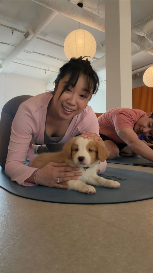 here’s your serotonin boost for the day 🤍 I did 1% yoga, and the other 99% was me waiting to be chosen 

@pupsyogavancouver 

#vancouver #puppyyoga