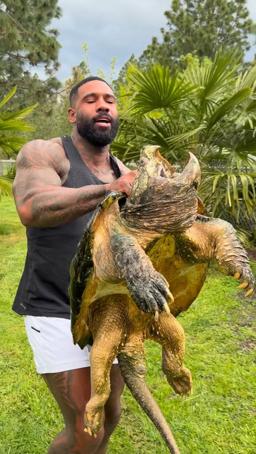 Best Caption Wins 🐢
Big Old Alligator Snapping Turtle 😍🐢