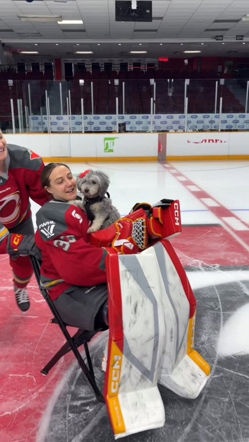 just some picture day fun with Monkey 🥰📸