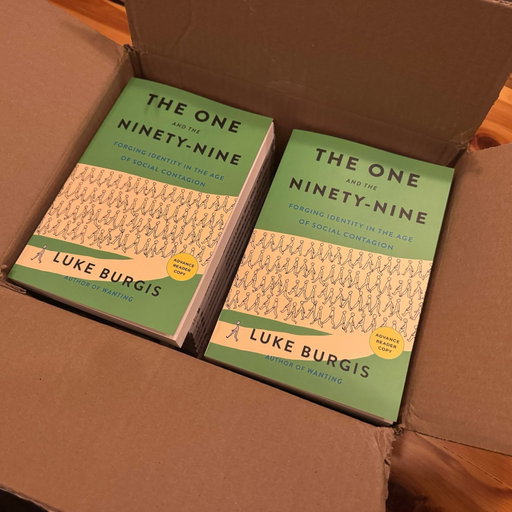 Advance Reader Copies. Someone stole the box off our front stoop while we were traveling, opened the box, then abandoned it in the alley behind our home in DC. 

A shame, because the book could have really helped them. I wish they’d taken at least one.