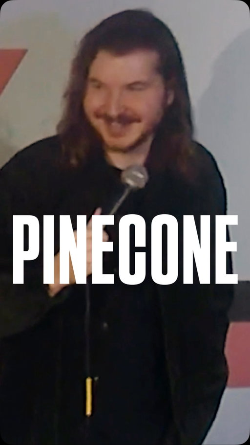 Moms are the smartest person in the family #standup #standupcomedy #pinecone