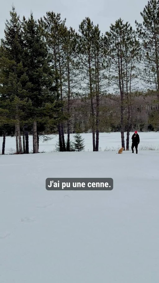 Première média Québec 20 avril.  Première média Montréal 6 mai.  Billets dans la bio. 🎟️