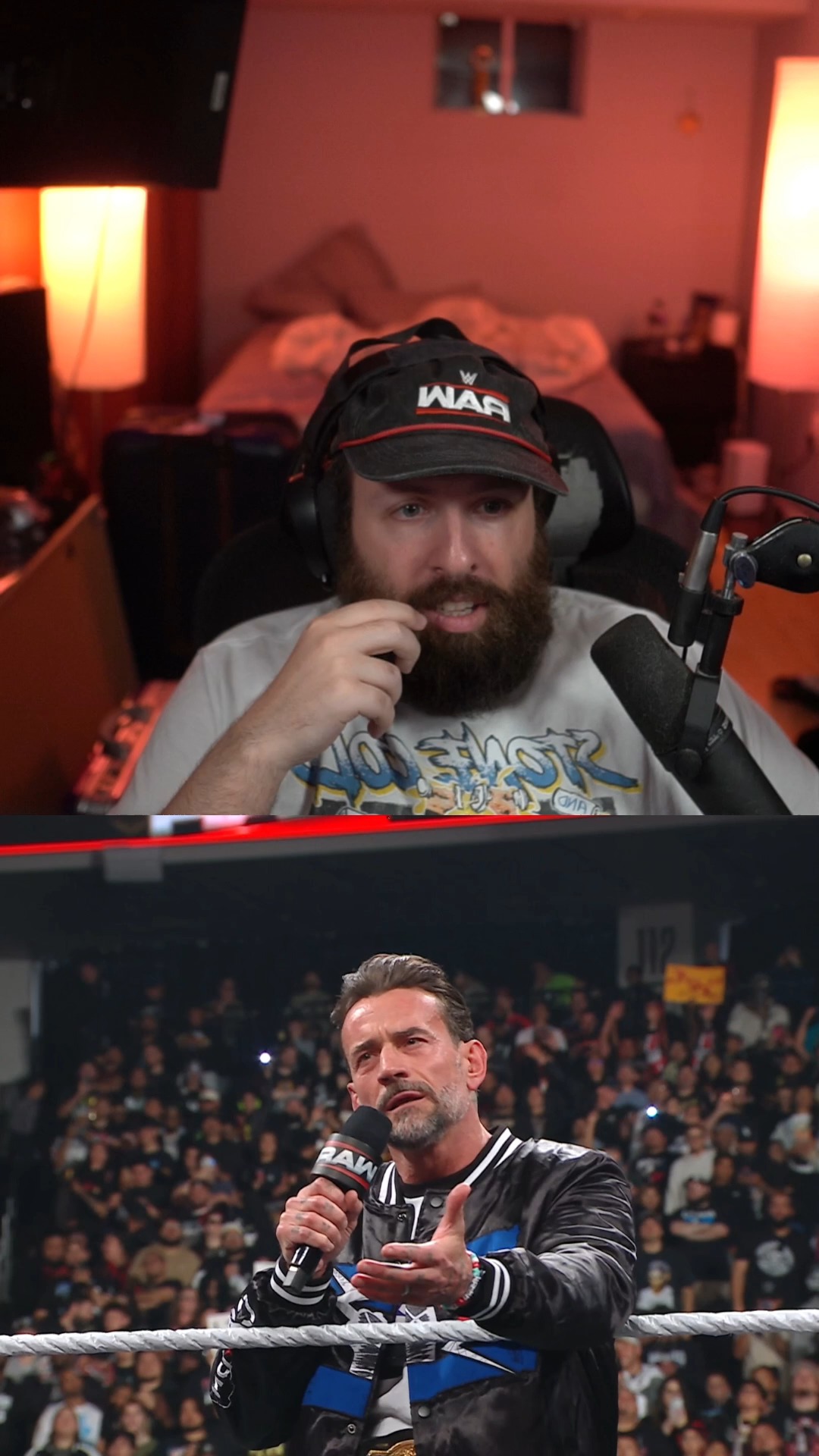 CM Punk gets super personal with Roman Reigns #wwe