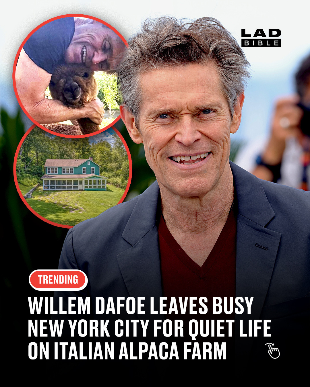 From Green Goblin to green fields 🦙⁠
⁠
Willem Dafoe has reportedly swapped the chaos of New York City for a slower pace in Italy, where he lives with wife Giada Colagrande. The pair met in Rome back in 2004 and quickly built a life there, with Dafoe continuing to act while using Italy as his home base.⁠
⁠
Away from film sets, he now spends time on a small farm caring for animals including alpacas, sheep and chickens, describing himself as a “gentleman farmer”. He still works steadily in the industry, but his day-to-day life is a world away from red carpets, with hands-on routines keeping him busy between projects.⁠
⁠
#celebrity #culturenews #ladbible