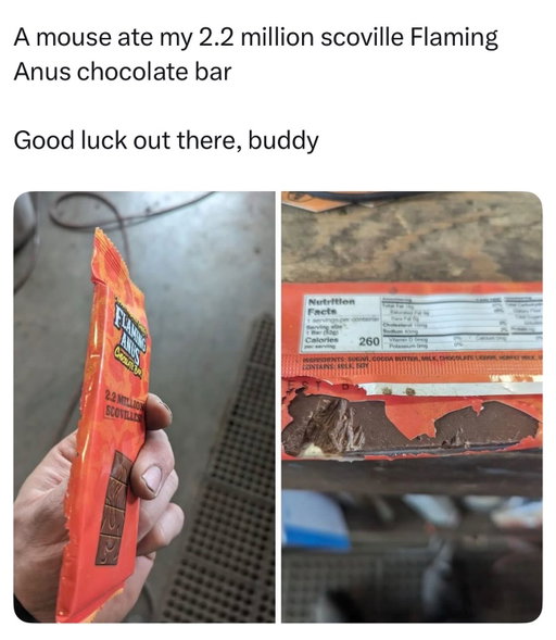 Buddy is no longer with us