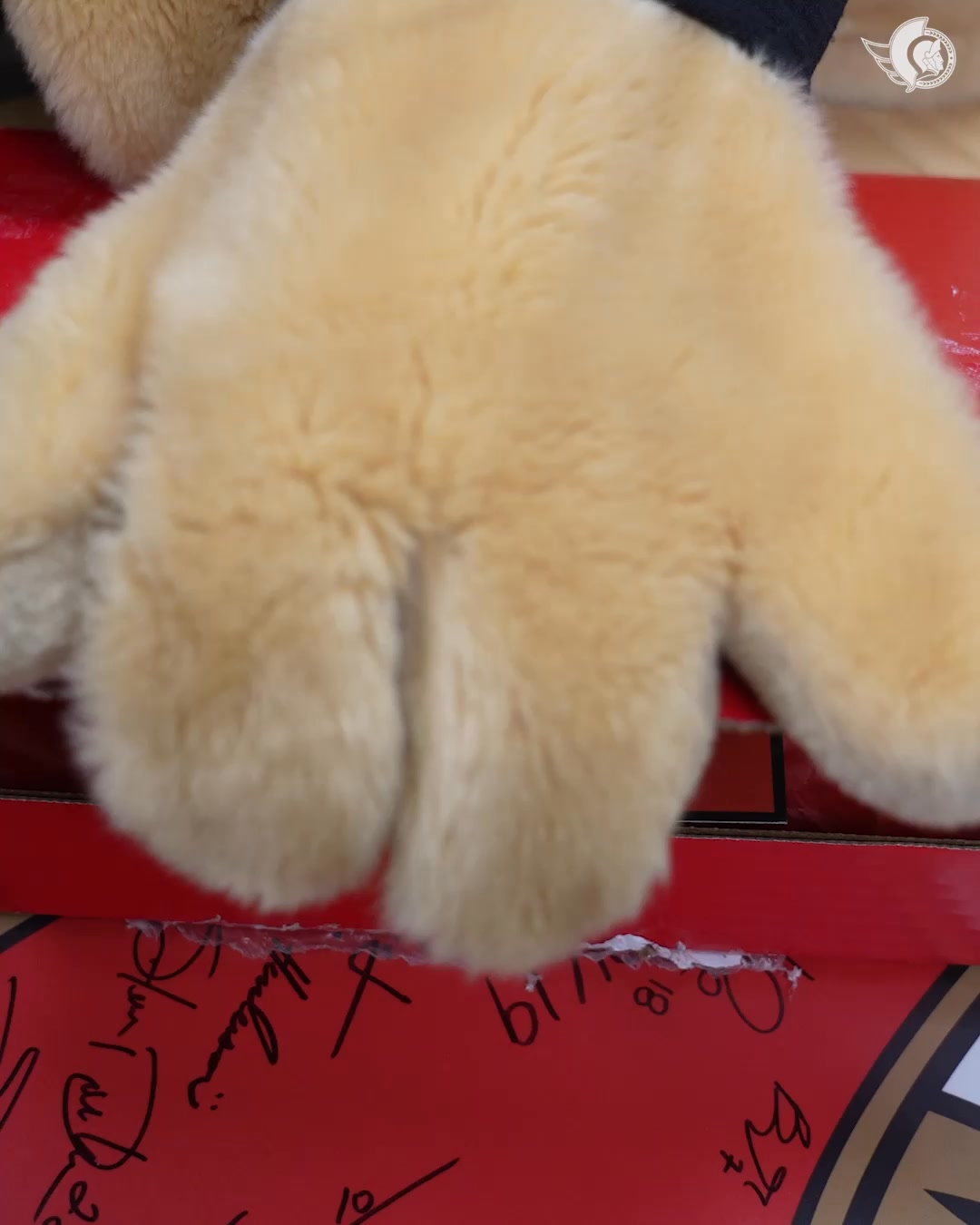 Thanks for the fresh kit, @canadasoccer! Can't wait to cheer you on at the World Cup this summer ⚽️

#GoSensgo 🤝 #canadared