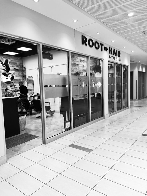 Dear Clients,

Please note that from May through August, The Root of Hair Studio will be open on Saturday mornings only, offering limited appointments. This change only affects Saturday appointments. We kindly ask that you book your appointments accordingly.

Regular Saturday scheduling will resume in September.

Thank you for your understanding and continued support.