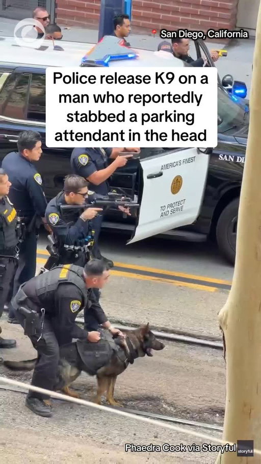 A K9 dog took down a suspect who attacked a parking lot attendant in San Diego on Sunday. The suspect allegedly struck the victim on the head with a broken wooden cane and refused to cooperate with officers when they arrived on the scene. Officers fired multiple non-lethal rounds at the suspect before deploying a K9 unit, who tackled and bit the man, giving other officers a chance to apprehend him.