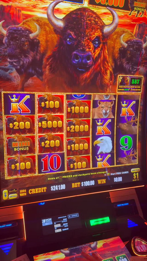 THE BIGGEST WIN OF MY LIFE! #gambling #casino #money #comedy #slots
