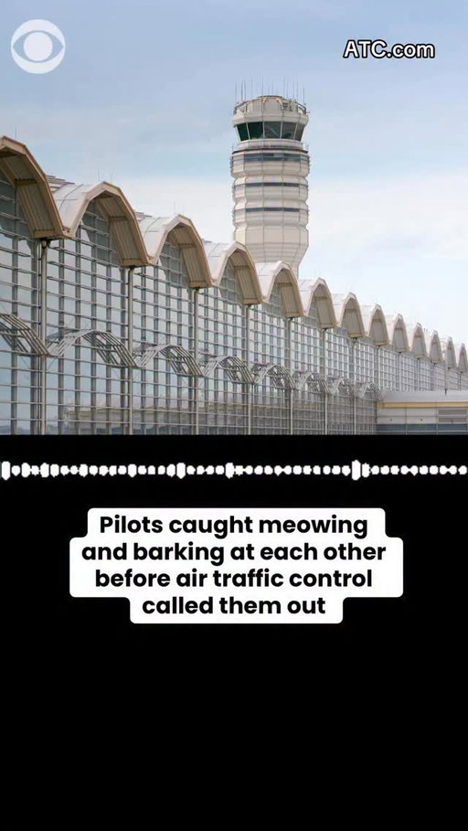Two pilots appeared to make meowing noises and dog barks as they communicated with each other before air traffic control at Ronald Reagan Washington National Airport called them out on Sunday.

"You guys, you need to be professional," an air traffic controller is heard saying. #pilots