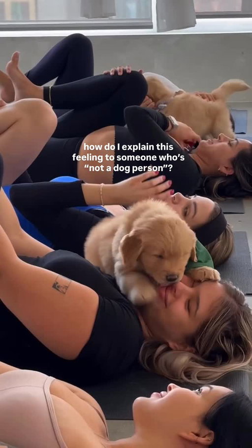 Puppy love heals ❤️‍🩹