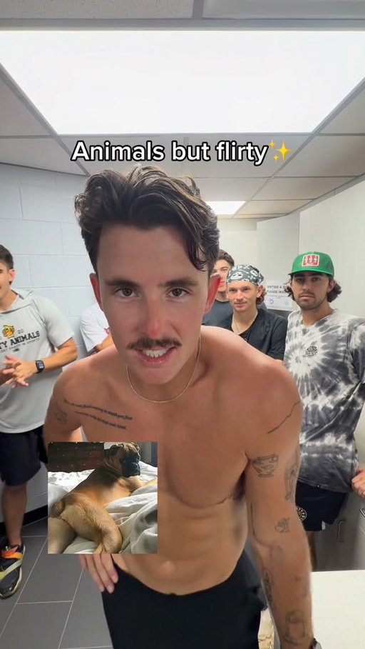 If animals could flirt 🤣🐈 
#cringe #animals #nonchalant #trynottocringe #flirt