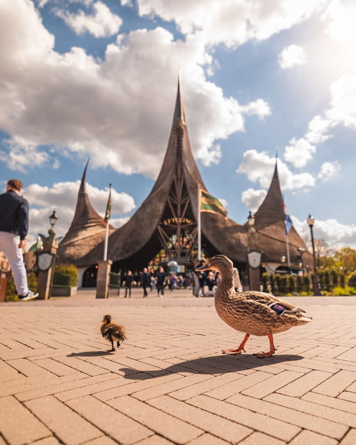 Hoe lief is dit! 🦆❤️ Misschien word je tijdens je bezoek aan de Efteling wel verwelkomd door dit nieuwe leven. 🤭 Zou jij nu graag langs willen komen?