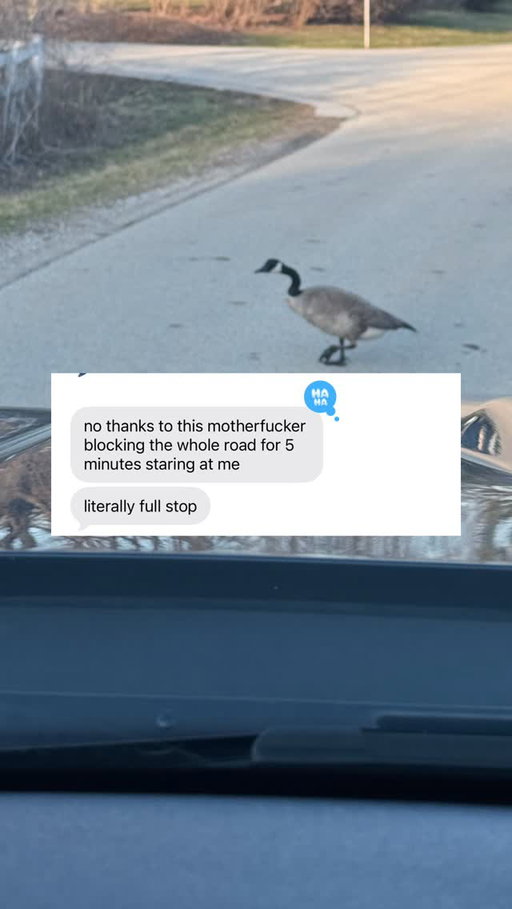Jumping on this trend and using AI to turn my son’s texts into an emo song. Gotta say, it’s a bop, although he was not impressed. Hopefully you giggle like I did while putting this foul mouthed ditty together. To put a few things into context, he just got his driver’s license. To earn some gas money, he cleaned the windows inside the house, apparently my office windows were disgusting 🫣 Also, he tries his best to shock me (see the health class text). It rarely works. He asked me to be a Karen because the AC wasn’t working at school and he was hot. I tried driving our old truck up to WI the other week and thought I blew the transmission. I didn’t, but it didn’t stop his dad from teasing me. I swear that truck hates me.