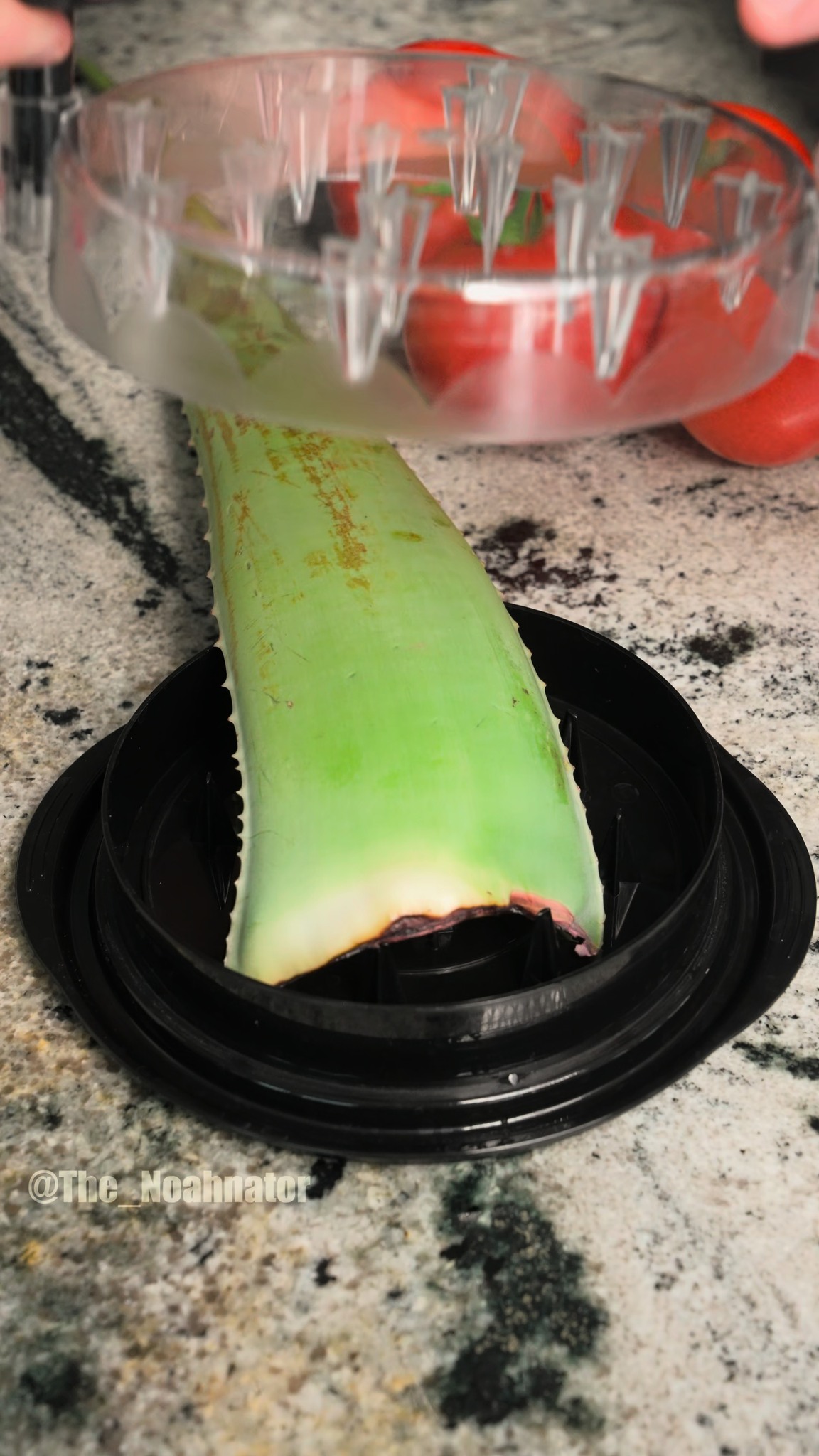 Aloe vs chicken grinder #asmr #satisfying #food