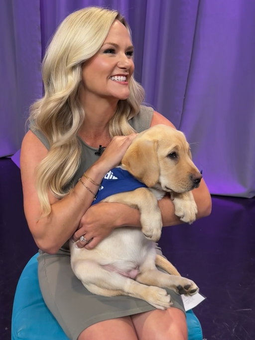 Find something to make you smile like puppy makes me smile. ❤️ 

Drey is a 12-week-old lab being trained as a guide dog.  @pilotstotherescue is transporting him for @guidingeyes. This organization is incredible. It’s a non-profit that also transports at-risk animals to rescue and adoption centers so they can be fostered and adopted. 

If Drey wasn’t do something so important - he’d be coming home with me. ❤️