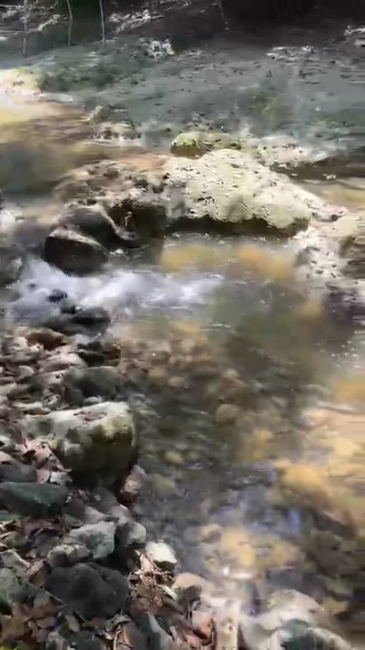 Nature is the real spa.

Just a short walk from the property, a fresh jungle river offers a natural place to cool down, reset, and reconnect.

Cold water therapy, laughter, and moments of pure presence.

Follow for retreat inspiration 🪨✨

#naturetherapy #retreatlife #wellnessretreat #rivertherapy #dominicanrepublic