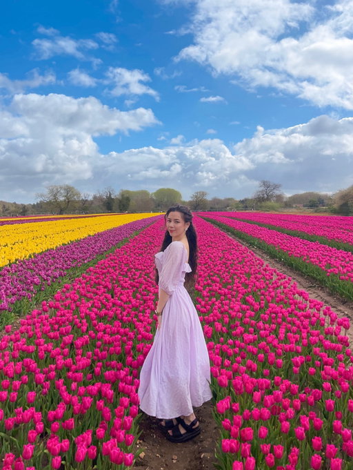 🌷💖✨💫

The stunning @norfolk_tulips 🌷 9.1 million tulips across their two fields, famously used as a backdrop in the Wicked films for Munchinkinland. I preferred the left field as it was quieter and the tulips had grown higher, perfect for photos. All proceeds go to @tappinghousehospice 💕

Press invite
_
Norwich tulips field, flower fields, tulip flowers, tulip farm, uk tulips field 
#tulipsfortapping #tulipsfortapping26 #norfolktulips