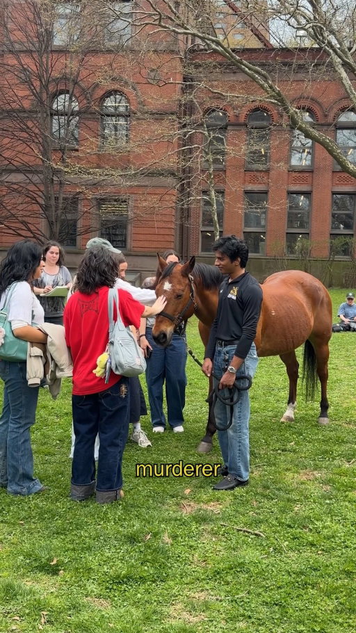 This week, @prattinstitute hosted an annual "Horses on Campus" event, featuring live horses at the Brooklyn campus for sketching and photography 🐴
