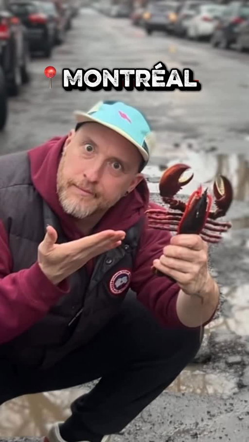 ALERTE : nouvelle espèce découverte à Montréal 🦞
Le homard urbain, élevé directement dans les nids-de-poule 😂
100% local, 100% imprévisible
#niddepoule #mtl #montreal #homard #immigrationcanada