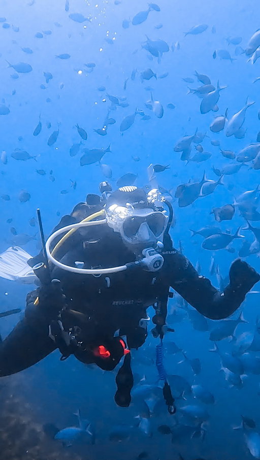 It’s finally Friday… what are you thinking about?

For me, it’s always diving.

Whether you want to start your underwater journey, try a new specialty, or level up with advanced courses, there’s always another adventure waiting below the surface.