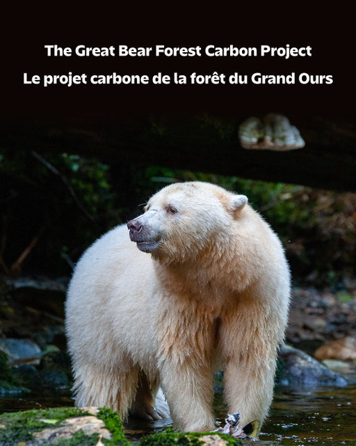 For flight redemptions*, Air Canada offsets its emissions, supporting climate projects worldwide. 🌎 

*Air Canada, Rouge & Air Canada Express 
.
.
Pour les primes aériennes*, Air Canada compense ses émissions, soutenant ainsi divers projets climatiques dans le monde. 🌎 

* Air Canada, Air Canada Rouge et Air Canada Express