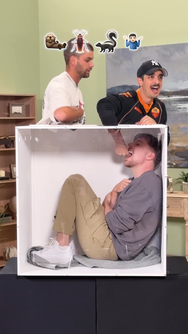 Wait till the end 😂