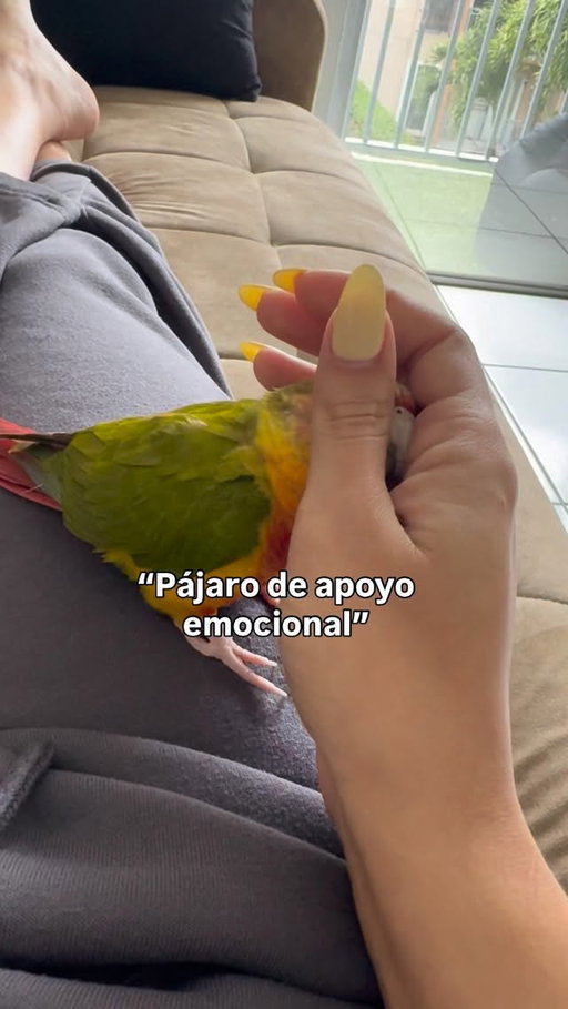 Por lo menos le hago la lucha 👍🥹