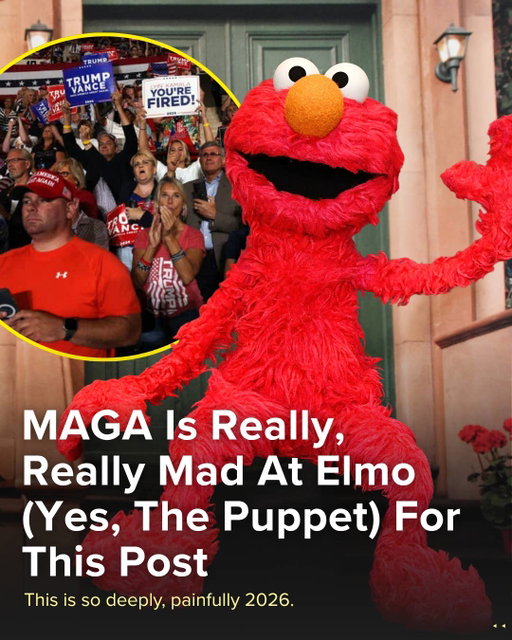 Sesame Street released a video with Ramy Youssef and Elmo to celebrate Arab American Heritage Month. In the 41-second clip, Elmo learns the words for "peace" and "hello" in Arabic. He's also taught the word "habibi," which means "my love," telling viewers, "Happy Arab American Heritage Month, habibi. We love you."

Simple and nice, right? Like, what's the big deal? Not for some people!!!

Luckily, not everyone is absolutely furious at a perpetually 3.5-year-old red puppet for saying "habibi." More reactions at the link in bio ☝️