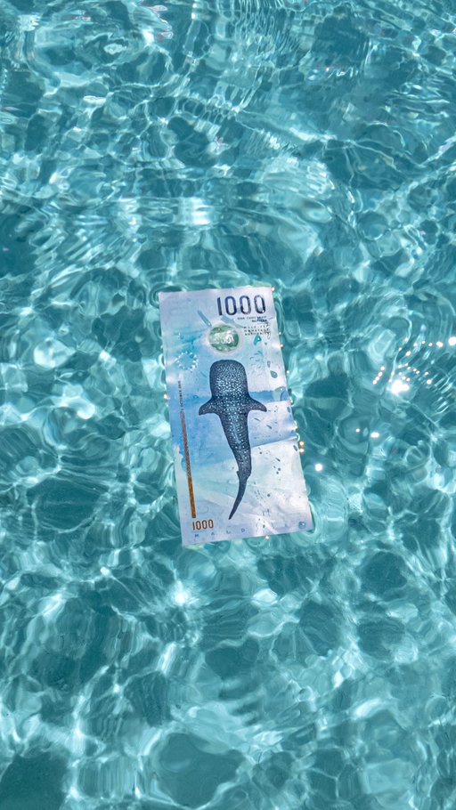Almost too beautiful to spend…🥹💸

The Maldivian 1000 Rufiyaa note is worth around $60 USD and could be the prettiest money we’ve come across… 😍

Are you spending it or taking it home? 💭

📍 @nivavelassarumaldives 

#maldives #currency #travel