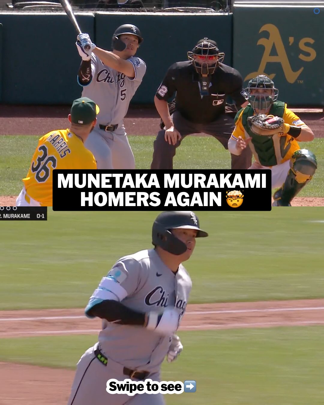 Munetaka Murakami has hit SEVEN homers already this season 🤯