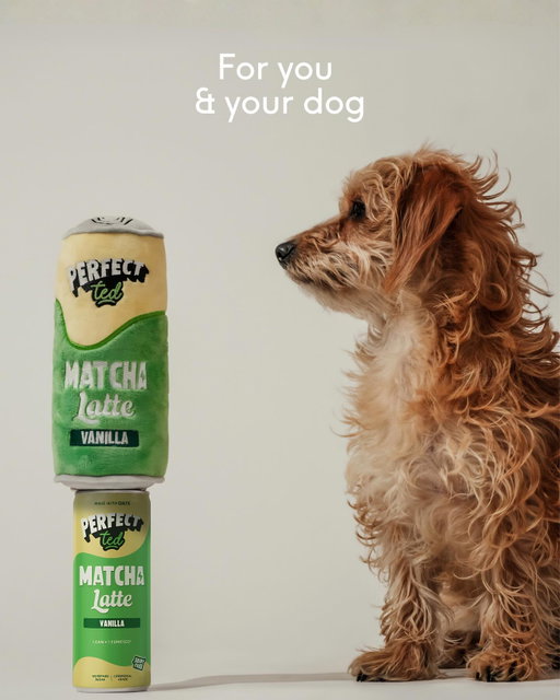When two Teds collide 🍵🐶
 
Our iconic can, reworked as a limited-edition plush with @byteddy !
 
Available now at byteddy.com
For you & your dog 💚