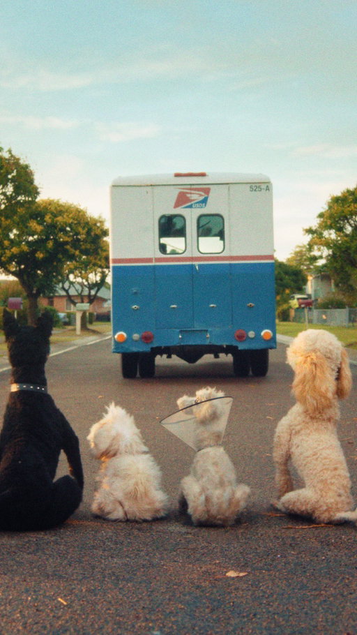 Dog vs. mailman: the worldʼs most classic rivalry. But what if itʼs all a big misunderstanding?