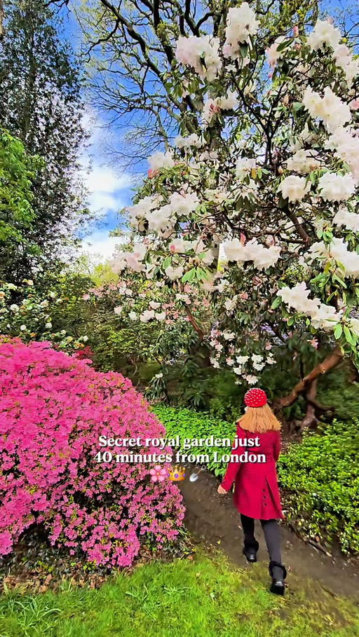 Just a short distance from London lies one of England's most spectacular spring gardens - and it's been wowing visitors since 1932. 🌸

The Savill Garden in Windsor Great Park is a 35-acre haven of ornamental borders, woodland walks and seasonal displays, commissioned by George V and brought to life by horticulturist Eric Savill. 🌿

Follow us for more hidden gems. 🙌

Spring is simply magical here - magnolias, drifts of daffodils in the Alpine Meadow, flowering cherry trees and award-winning rhododendrons all put on a show. 🌷

And after your stroll around the gardens, the @windsorgreatpark Savill Garden Kitchen by @benugouk is the perfect spot for lunch - their Field to Fork menu champions local producers and seasonal ingredients, so everything on your plate is as fabulous as the garden itself. 🍽️

Tickets from just £14.95 per adult when booked in advance, and parking is included. 🎟️

London Day Trips | Gardens Near London | Windsor Great Park | Spring Gardens UK | Day Out From London | Things To Do Near London | Windsor Day Trip | Royal Parks | Botanical Gardens UK | Spring In England

#WindsorGreatPark #SavillGarden #LondonDayTrips #SpringGardens #DayOutFromLondon