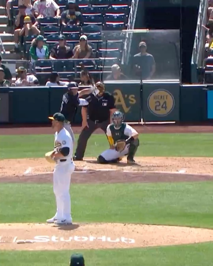 OH MY, MUNETAKA MURAKAMI