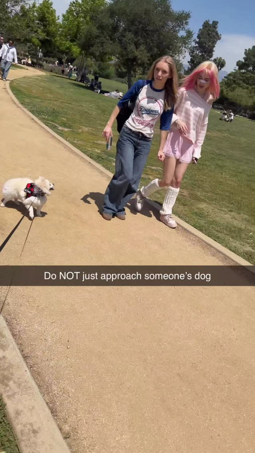 why would you ever try and pet someone’s dog😤😤